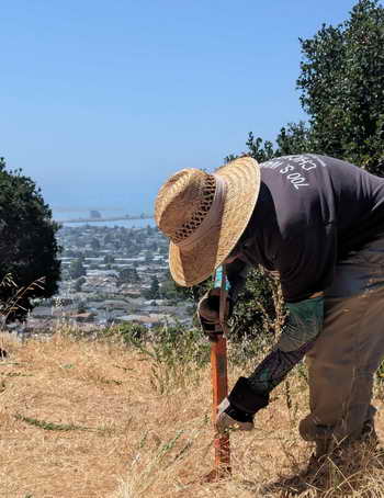 Removing broom in the Hillside Natural Area, with great view